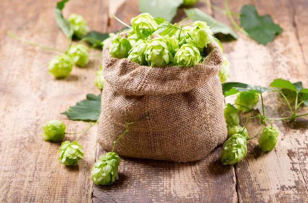 Herbs for a good night’s sleep